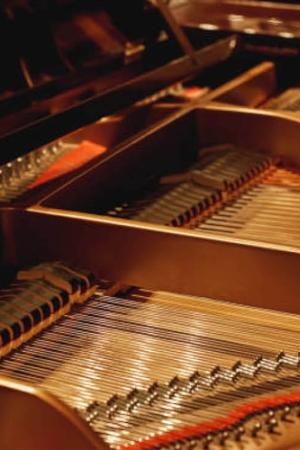 Laura Searle Prize for Piano Concerto Playing